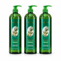Gel de Douche L’Angélica à l’Huile d’Olive – Hydratant & Rafraîchissant 1L